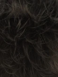 Anemone Half Wig By WigPro | Synthetic -Do it with Wig shop. 06GR Medium Chestnut Brown base with Light Golden Brown front