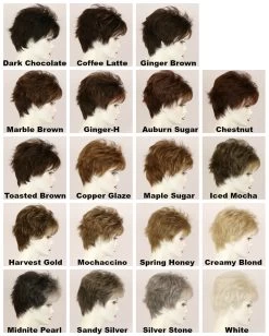 Courtney Wig By Godiva's Secret Wigs -Do it with Wig shop. Courtney Colors 57174.1538169810.1280.1280