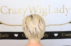 Ready For Takeoff Wig By Raquel Welch -Do it with Wig shop. Facetune 29 02 2020 15 21 55