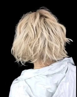 Unfiltered Wig By Raquel Welch 35 Unfiltered Wig By Raquel Welch -Do it with Wig shop. IMG 5451 1