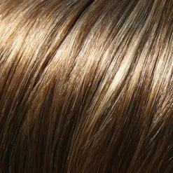 Top This 8" By Jon Renau | Remy Human Hair -Do it with Wig shop. LIGHT BROWN WITH 20 LIGHT GOLD BLONDE HIGHLIGHTS 10H24B 52eb5236 4e9b 485f 8581 4b712b373b4c