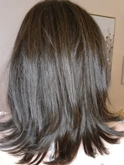 Lisa Wig By Envy | Human Hair/Synthetic Blend -Do it with Wig shop. LisabyEnvyDarkBrownBack