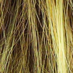 Salsa Wig By Raquel Welch | Large Cap -Do it with Wig shop. R13F25 PRALINE FOIL b4786388 9763 4653 9824 5831d9985606