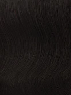 12" Grand Extension By Hairdo -Do it with Wig shop. R4 MIDNIGHT BROWN Black Brown 400x400 38c7c81a 75b1 4a31 a9ca 960a9eb138cd