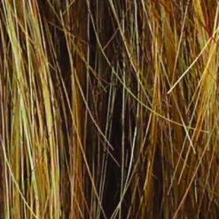 Miles Of Style Wig By Raquel Welch -Do it with Wig shop. R9F26 MOCHA FOIL