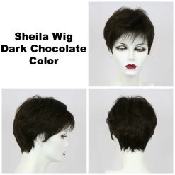 Sheila Wig By Godiva's Secret Wigs -Do it with Wig shop. Sheila Dk choc 93599.1458852410.1280.1280