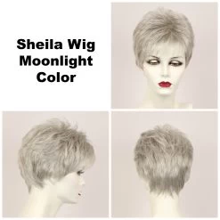 Sheila Large Wig By Godiva's Secret Wigs -Do it with Wig shop. Sheila Moonlight 45270.1461181980.1280.1280