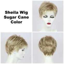 Sheila Wig By Godiva's Secret Wigs -Do it with Wig shop. Sheila Sugar Cane 12054.1458852468.1280.1280