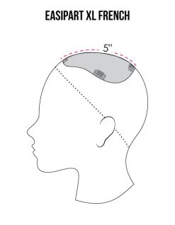 EasiPart XL French Topper 8" | Remy Human Hair | Renau Exclusive 22 EasiPart XL French Topper 8" | Remy Human Hair | Renau Exclusive -Do it with Wig shop. easiPart French XL coverage b39b6534 30d6 4139 8ba8 40ad842b69b6