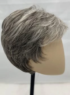 Debbie Wig By Ellen Wille | Mono Crown -Do it with Wig shop. resized 0004s 0002 Debbie Salt PepperMix